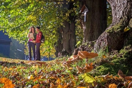 Abschalten im Sauerland im Herbst