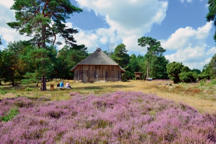 3009-2RF-0220-010-007_rf_0220_suedheide_gifhorn_bild_01